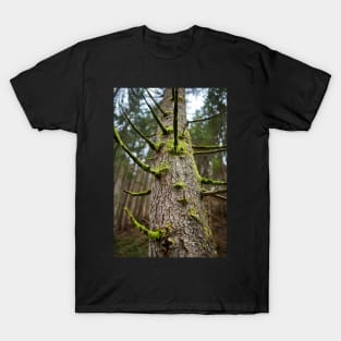 Pine tree with mossy branches T-Shirt